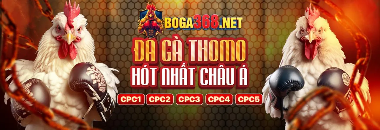 Sân đấu đá gà trực tuyến sôi động tại win68 apk